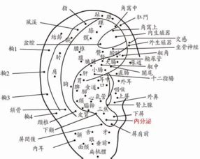 左耳垂下有痣女